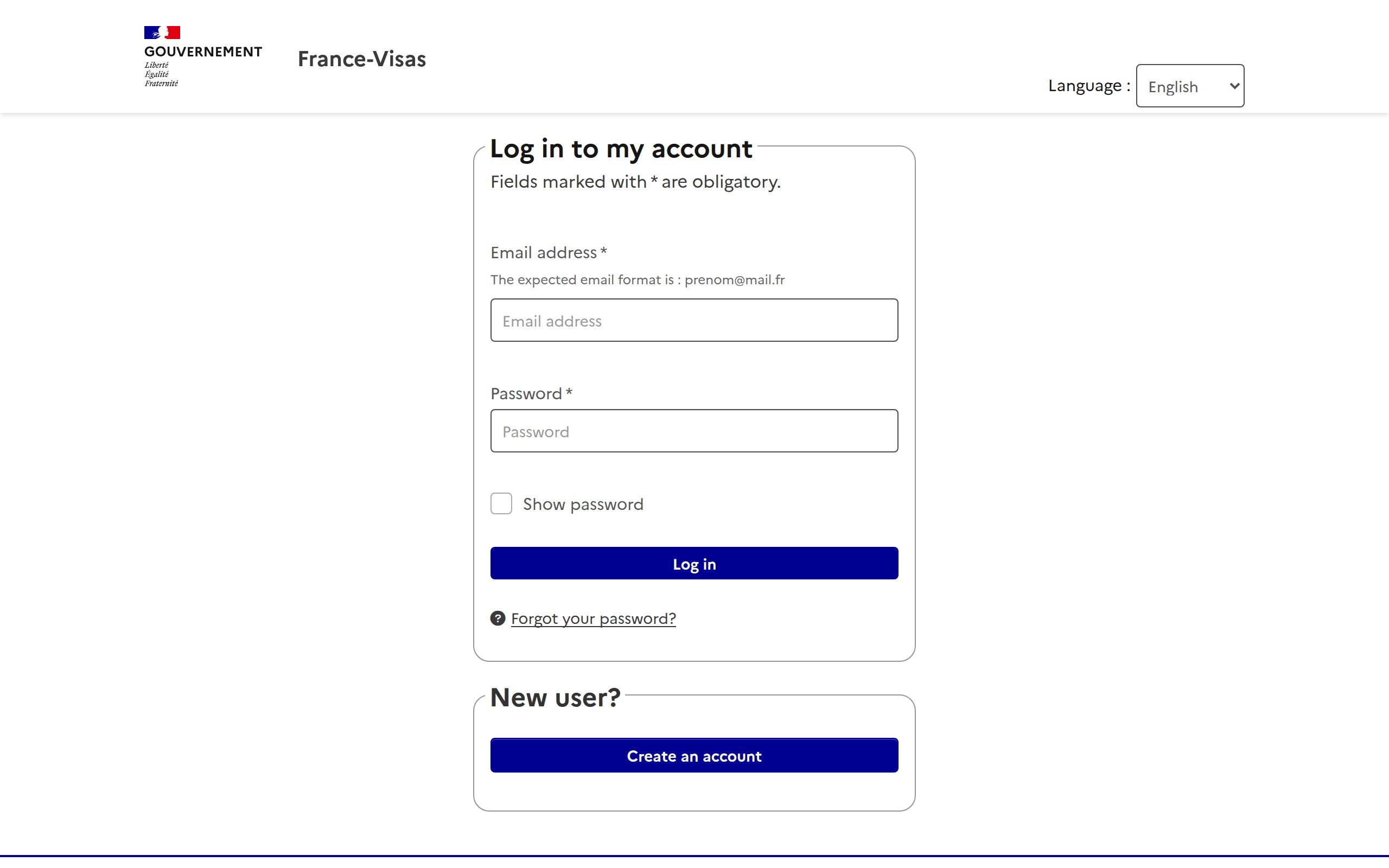 Copie d'écran de https://application-form.france-visas.gouv.fr/