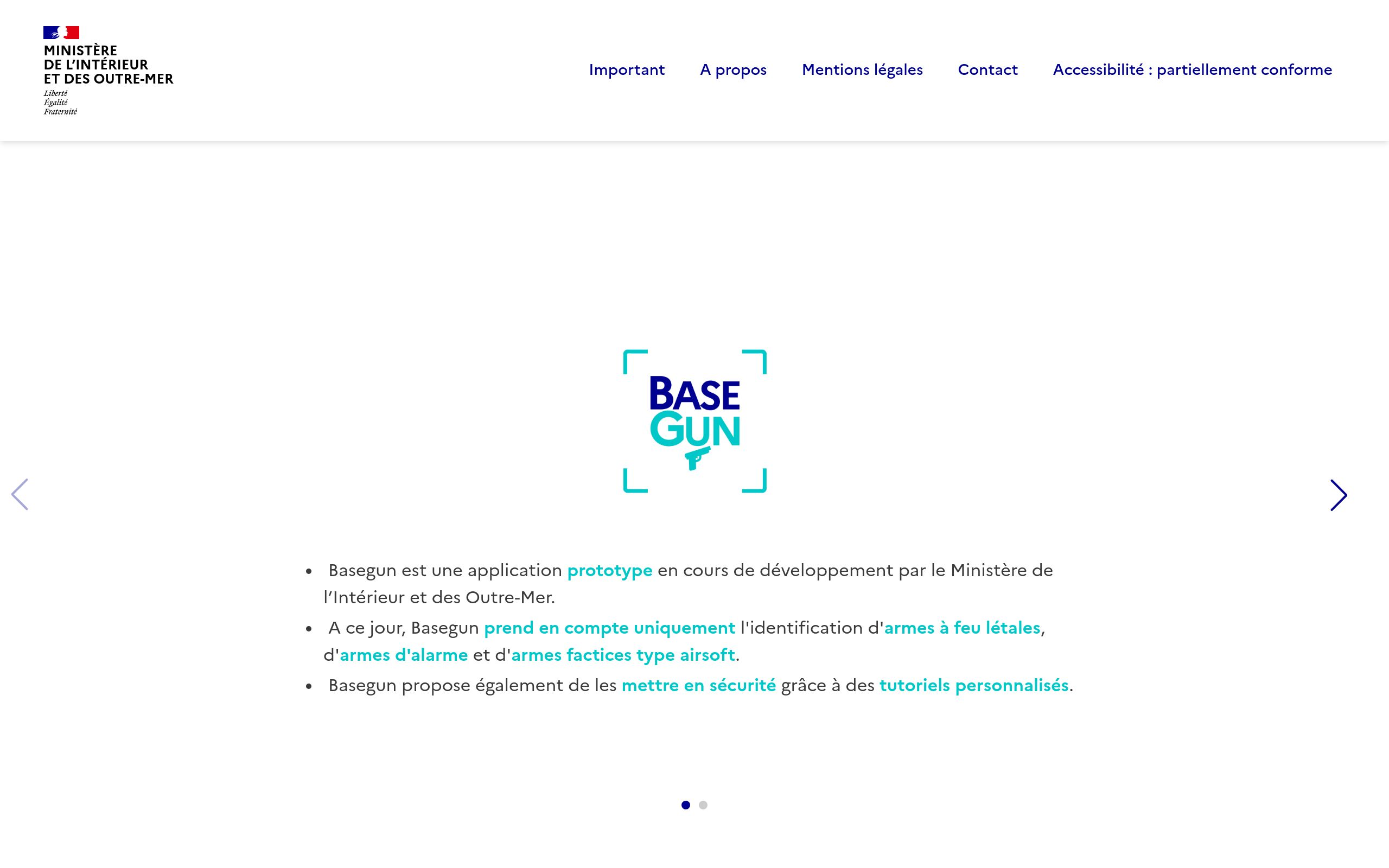 Copie d'écran de https://basegun.interieur.gouv.fr